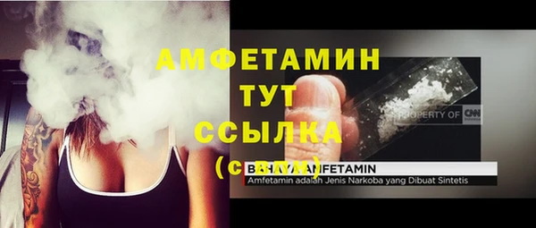 эйфоретик Богданович